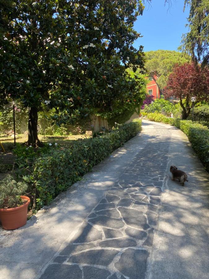 圣玛格丽塔－利古雷Le Magnolie住宿加早餐旅馆 外观 照片